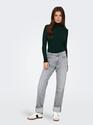 Only 15165075/Scarab Karol LS rollneck pull NOOS