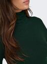 Only 15165075/Scarab Karol LS rollneck pull NOOS