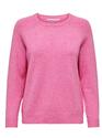 Only 15170427/Carmine Rose Lesly kings LS pullover NOOS