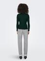Only 15180040/Scarab Emma LS high neck top NOOS