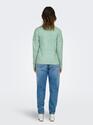 Only 15224360/Lichen Rica life LS v-neck pull NOOS