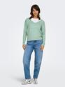 Only 15224360/Lichen Rica life LS v-neck pull NOOS