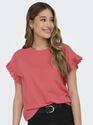 Only 15255618/Rose of Sharon Iris SS emb top NOOS