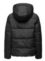 Only 15300257/Black Newamanda short jacket