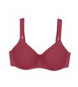 Triumph 10219713/6926 Essential Minimizer T W X R