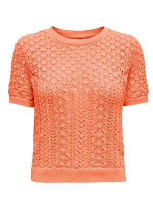 Only 15339662/Melon Saga life SS o-neck