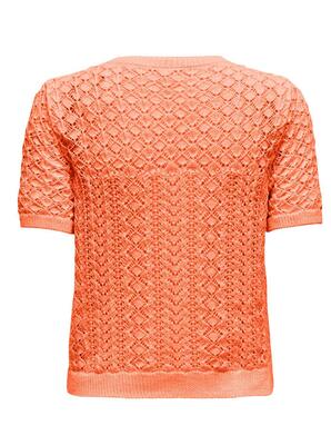 Only 15339662/Melon Saga life SS o-neck