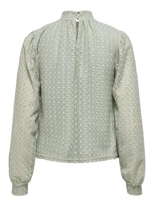 Only 15356169/Desert Sage Colbie LS top