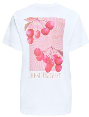 Only 15357393/BW/Harvest Vivvi life SS lovely top